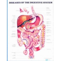 Diseases Of The Digestive System