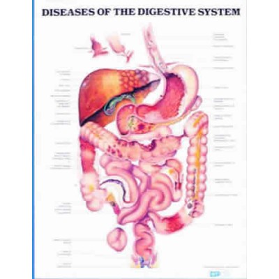 Diseases Of The Digestive System