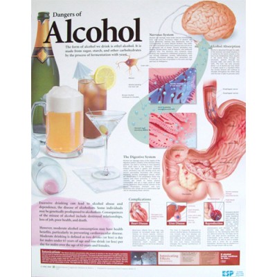 Dangers Of Alcohol Chart