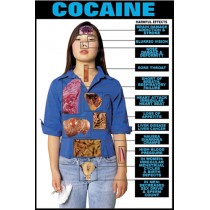 Harmful Effects Cocaine Chart