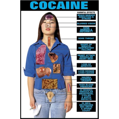 Harmful Effects Cocaine Chart
