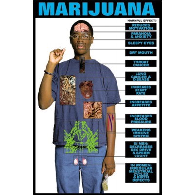 Harmful Effects Marijuana Chart