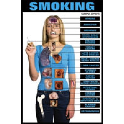 Harmful Effects Smoking Chart
