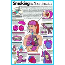 Smoking And Your Health