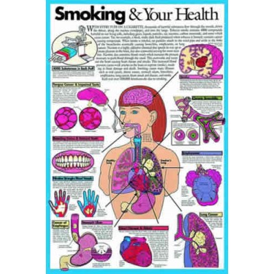 Smoking And Your Health