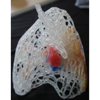 3D Printed COVID-19 Lungs Full Size Mesh