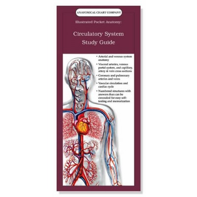 Circulatory System Study Guide