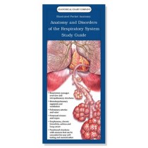 Respiratory System and Disorders Study Guide