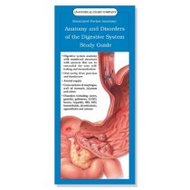 Anatomy and Disorders of the Digestive System Study Guide