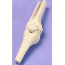 Knee - Miniature Joint