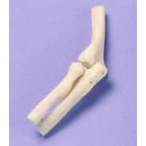 Elbow - Miniature Joint