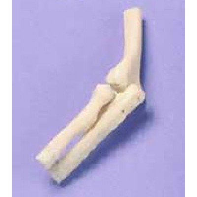 Elbow - Miniature Joint