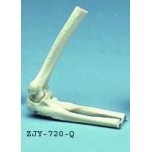 Elbow Joint Movable