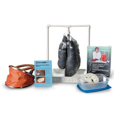 BioQuest® Simulated Smokes Lungs Demonstration Kit