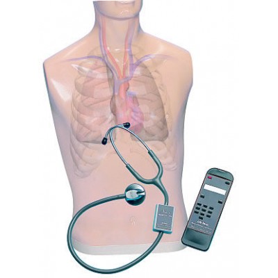 Auscultation Trainer and SmartScope